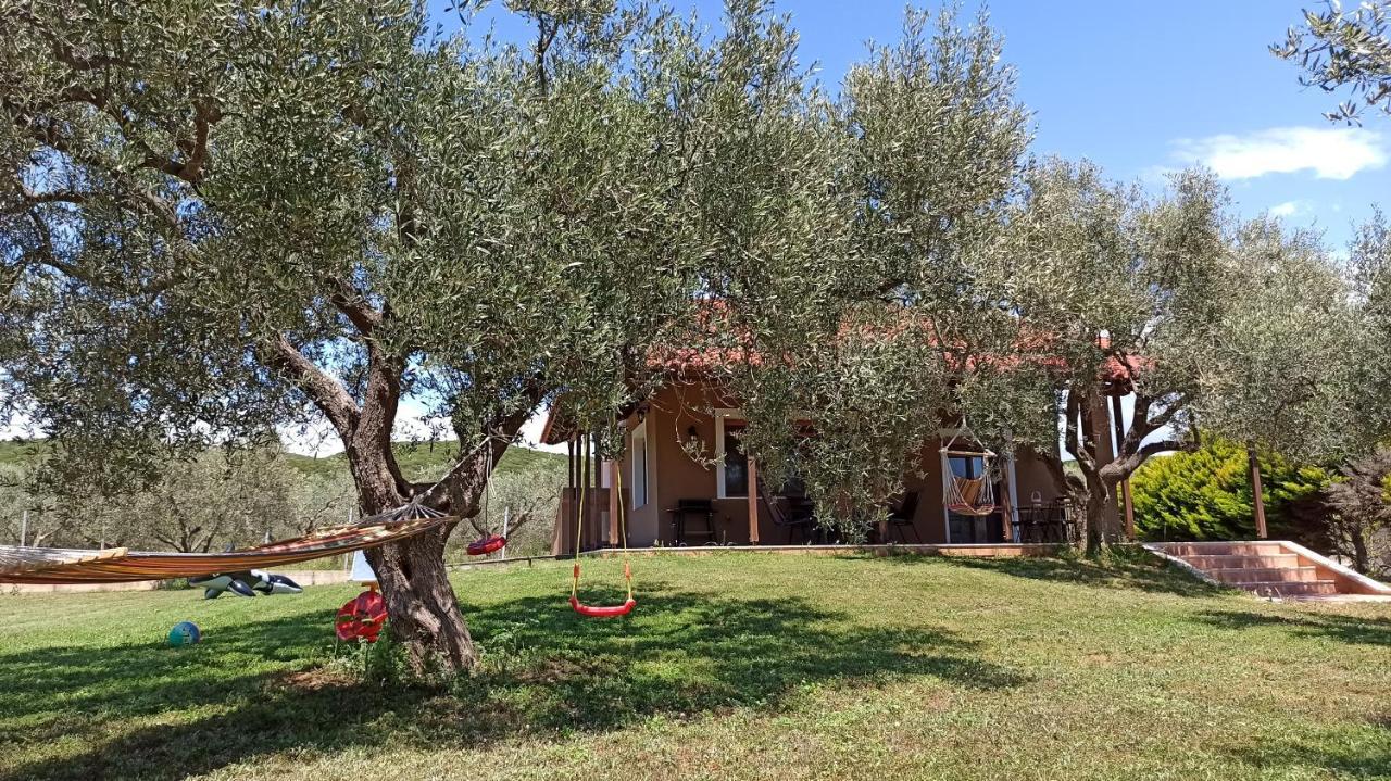 Mesimvria  Casa Dikellaヴィラ エクステリア 写真